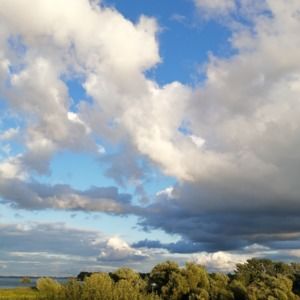 Meet your Posher, Wangwang